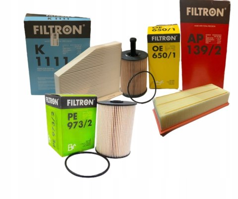 Filtron PE 973/2 Filtr paliwa