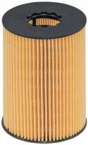 Filtron OE 669/1 Filtr oleju