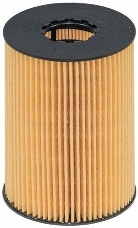Filtron OE 669/1 Filtr oleju