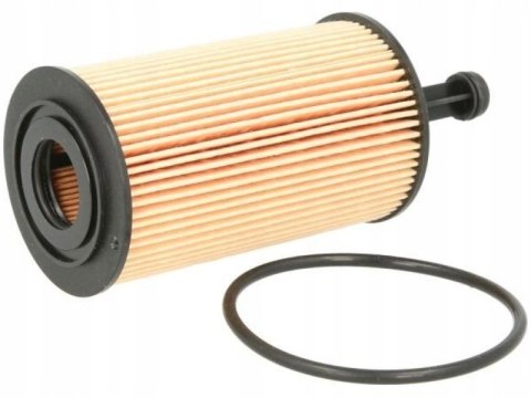 Filtron OE 667 Filtr oleju