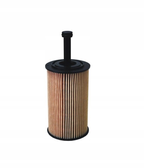 Filtron OE 667 Filtr oleju