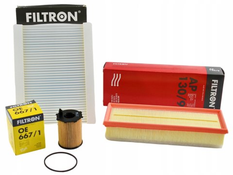 Filtron OE 667/1 Filtr oleju