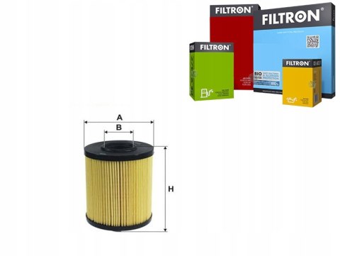 Filtron OE 684/1 Filtr oleju