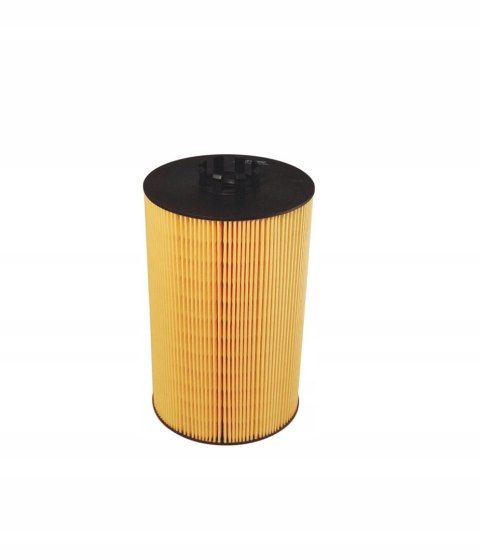 Filtron OE 646/2 Filtr oleju