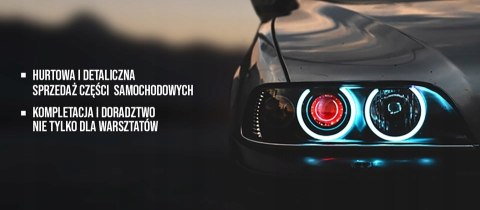 Filtron K 1103A Filtr, wentylacja przestrzeni pasażerskiej