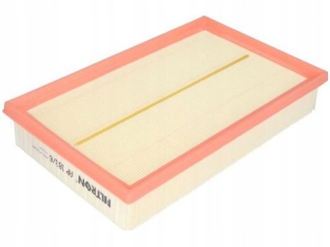 Filtron AP 183/6 Filtr powietrza