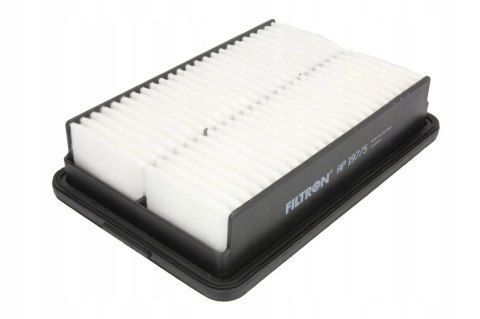 Filtron AP 197/5 Filtr powietrza
