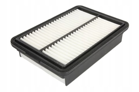 Filtron AP 197/5 Filtr powietrza