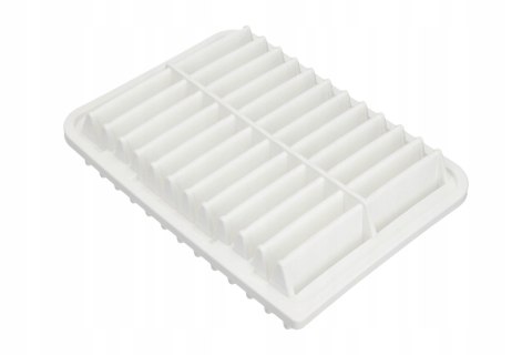 Filtron AP 160/1 Filtr powietrza