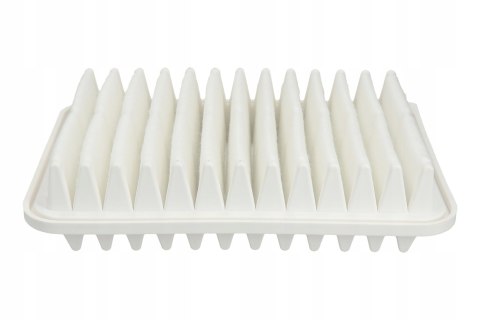 Filtron AP 160/1 Filtr powietrza