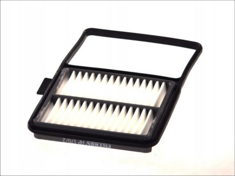 Filtron AP 170/2 Filtr powietrza