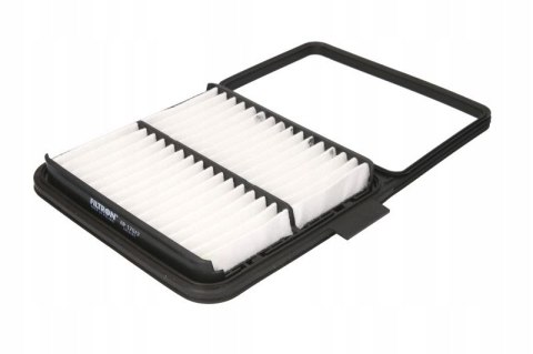 Filtron AP 170/2 Filtr powietrza