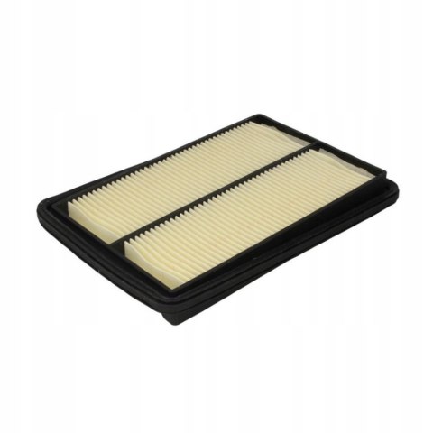 Filtron AP 124/2 Filtr powietrza