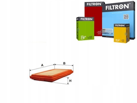 Filtron AP 025 Filtr powietrza