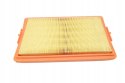 Filtron AP 025 Filtr powietrza