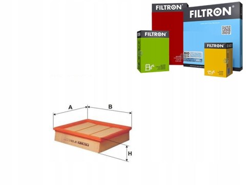 Filtron AP 034/1 Filtr powietrza