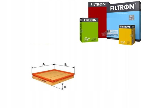 Filtron AP 046/1 Filtr powietrza