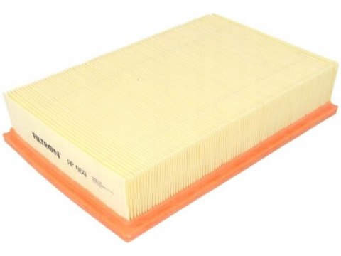 Filtron AP 060 Filtr powietrza