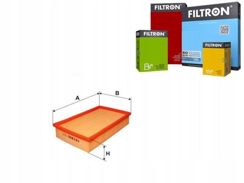 Filtron AP 060 Filtr powietrza
