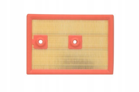 Filtron AP 062/1 Filtr powietrza