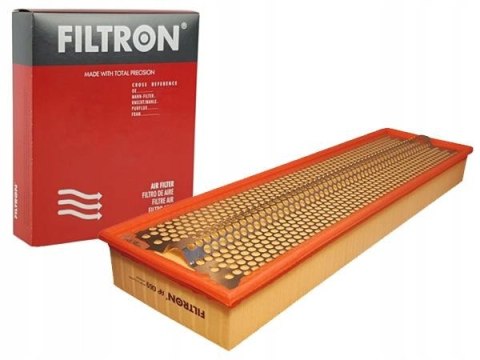 Filtron AP 069 Filtr powietrza