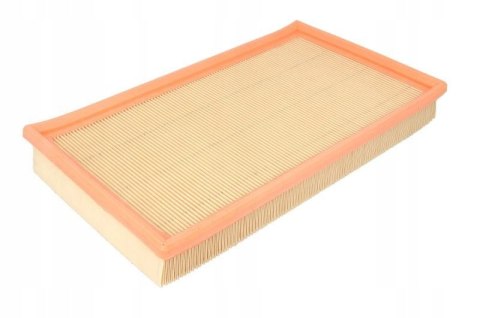 Filtron AP 070 Filtr powietrza