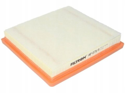Filtron AP 071/3 Filtr powietrza
