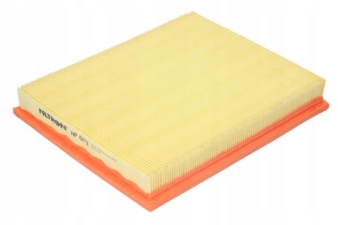 Filtron AP 073 Filtr powietrza
