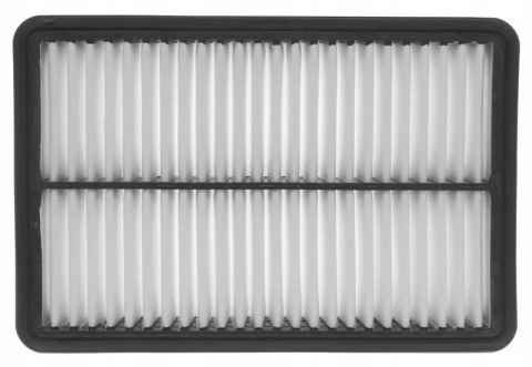 Filtron AP 113/6 Filtr powietrza