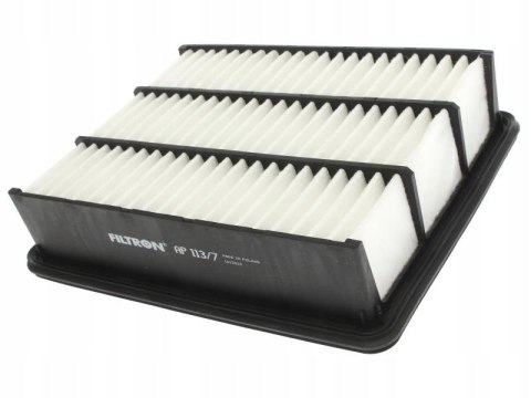 Filtron AP 113/7 Filtr powietrza