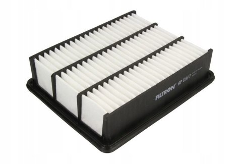 Filtron AP 113/7 Filtr powietrza