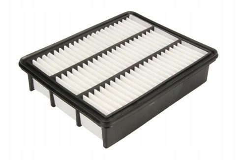 Filtron AP 113/7 Filtr powietrza