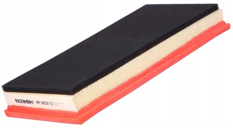 Filtron AP 003/3 Filtr powietrza