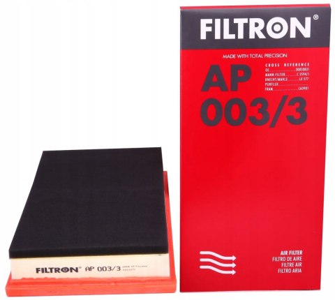 Filtron AP 003/3 Filtr powietrza