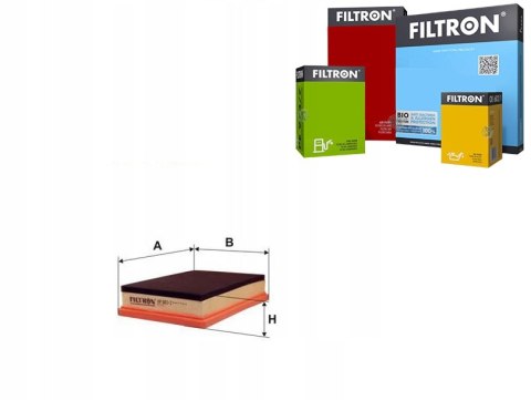 Filtron AP 003/5 Filtr powietrza