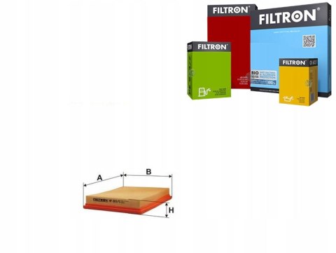 Filtron AP 003/5 Filtr powietrza