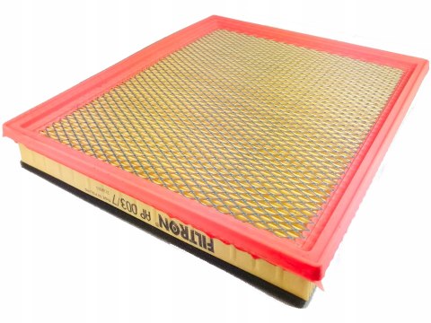 Filtron AP 003/7 Filtr powietrza
