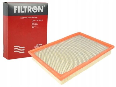 Filtron AP 003/8 Filtr powietrza