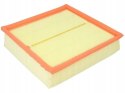 Filtron AP 006 Filtr powietrza