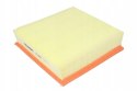 Filtron AP 006 Filtr powietrza