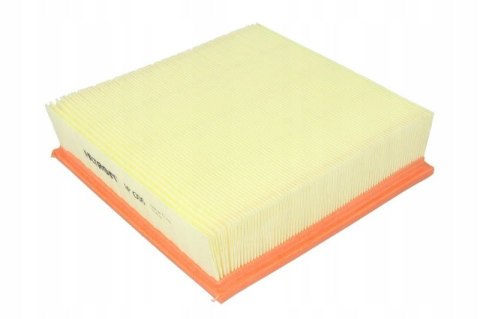 Filtron AP 006 Filtr powietrza
