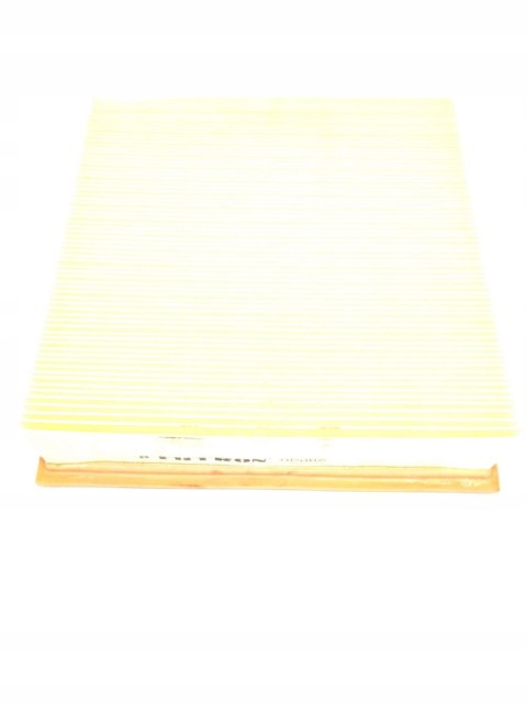 Filtron AP 006 Filtr powietrza
