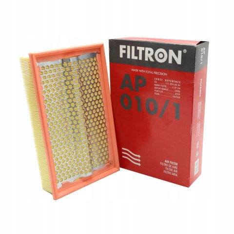 Filtron AP 010/1 Filtr powietrza