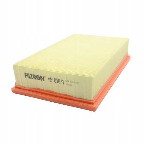 Filtron AP 010/1 Filtr powietrza