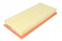Filtron AP 010/2 Filtr powietrza