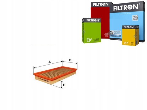 Filtron AP 010/2 Filtr powietrza