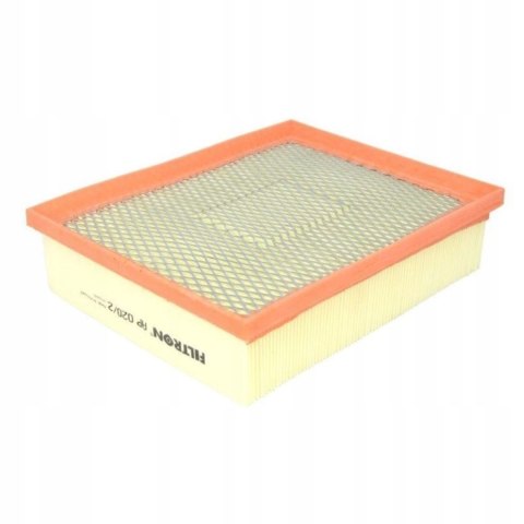 Filtron AP 020/2 Filtr powietrza