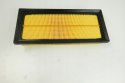 Filtron AP 022/1 Filtr powietrza