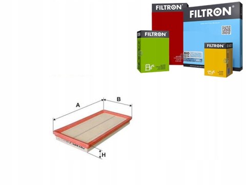 Filtron AP 022/3 Filtr powietrza