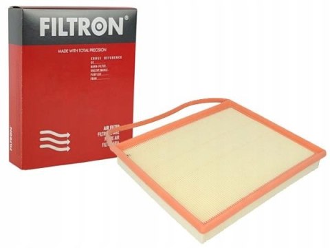 Filtron AP 025/1 Filtr powietrza